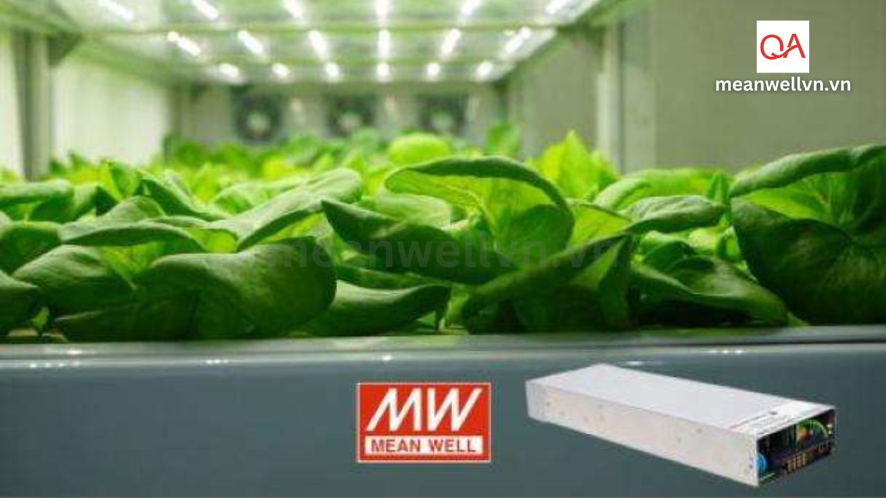 nguon-meanwell-ncp-3200-series-cho-he-thong-vertical-farming-qaled-meanwellvn.vn-0909791751