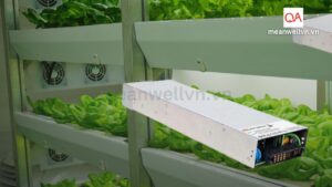 nguon-meanwell-ncp-3200w-cho-he-thong-vertical-farming-qaled-meanwellvn.vn-0909791751